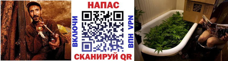 Конопля Bruce Banner  shop как зайти  Верхняя Тура  продажа наркотиков 